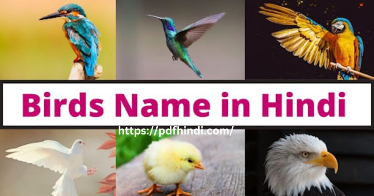 पक्षियों के नाम हिन्दी में | Birds Name in Hindi and English |