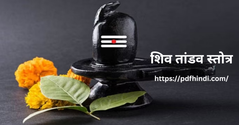शिव तांडव स्तोत्र सरल भाषा में | Shiv Tandav Stotram [PDF] Download